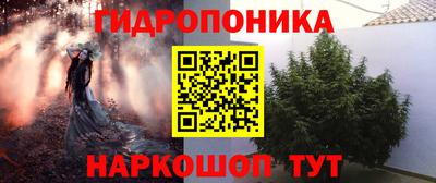 гашик Татарск