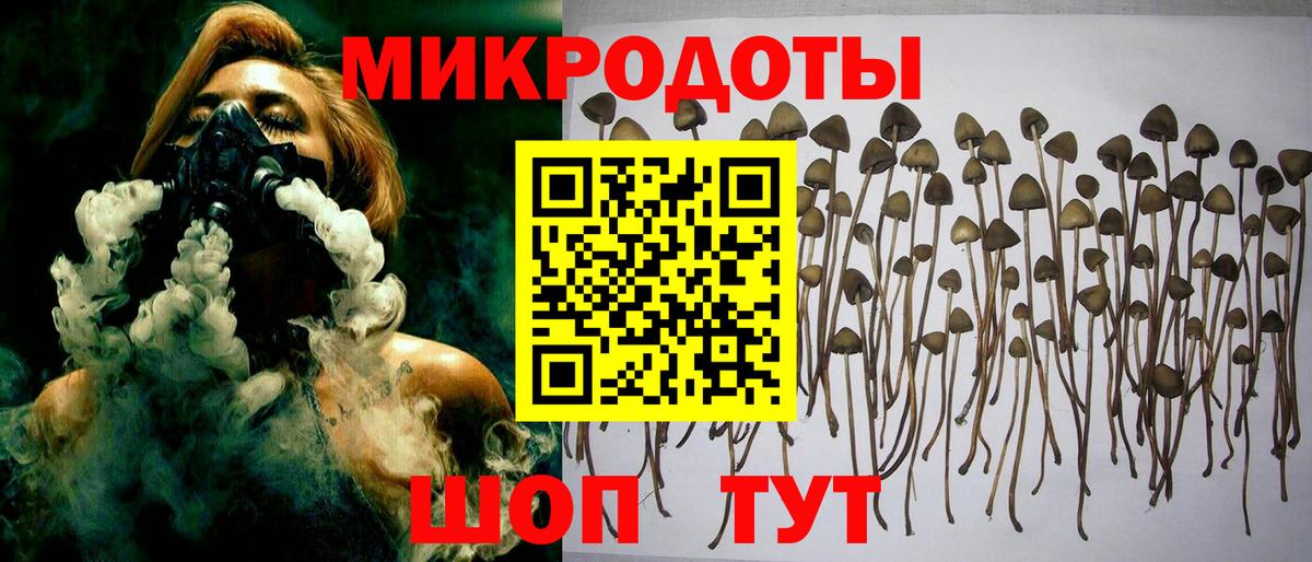 Балашиха  Псилоцибиновые грибы мухоморы  Вход с VPN 